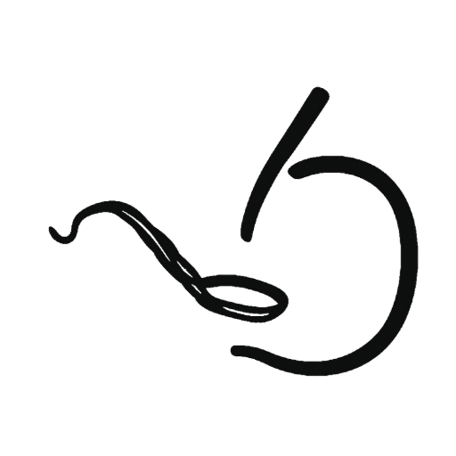 Spoonfeeder Logo